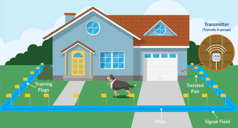 How Electric Dog Fences Work Dog Guard of Greater Pittsburgh